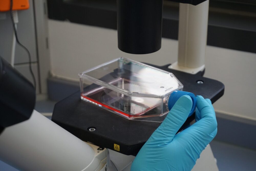 Caco-2 Permeability Assay Protocol