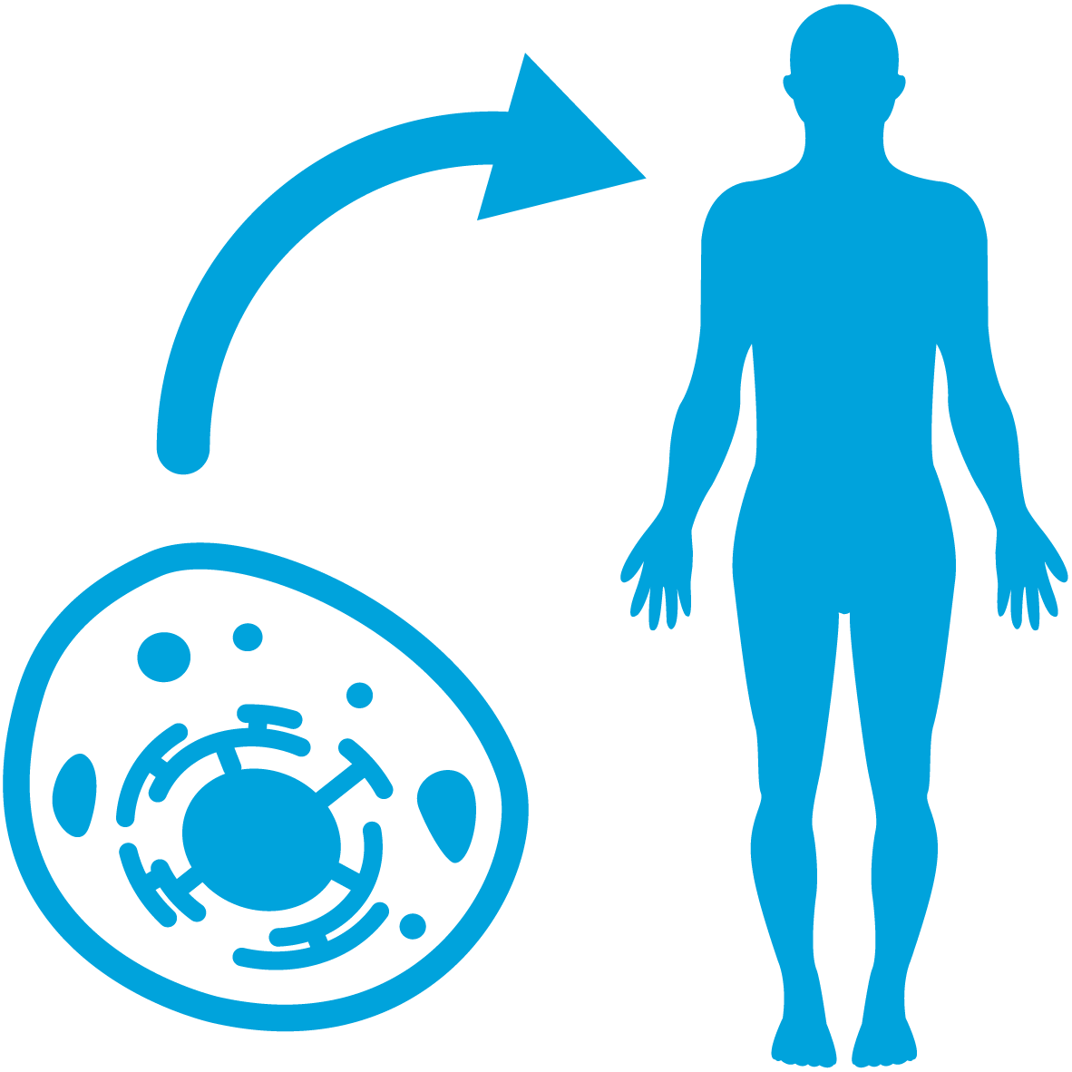 in vivo extrapolation