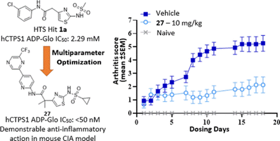 Experimental results of the selected compound in vivo using a mouse CIA model. J. Med. Chem. 2022, 65, 24, 16640–16650