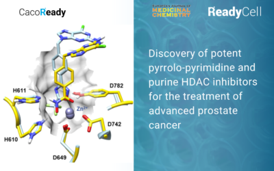 A new study that uses CacoReady reveals a potent inhibitor for prostate cancer