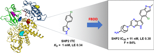 Study unveils novel SHP2 inhibitors in cancer therapy - ReadyCell