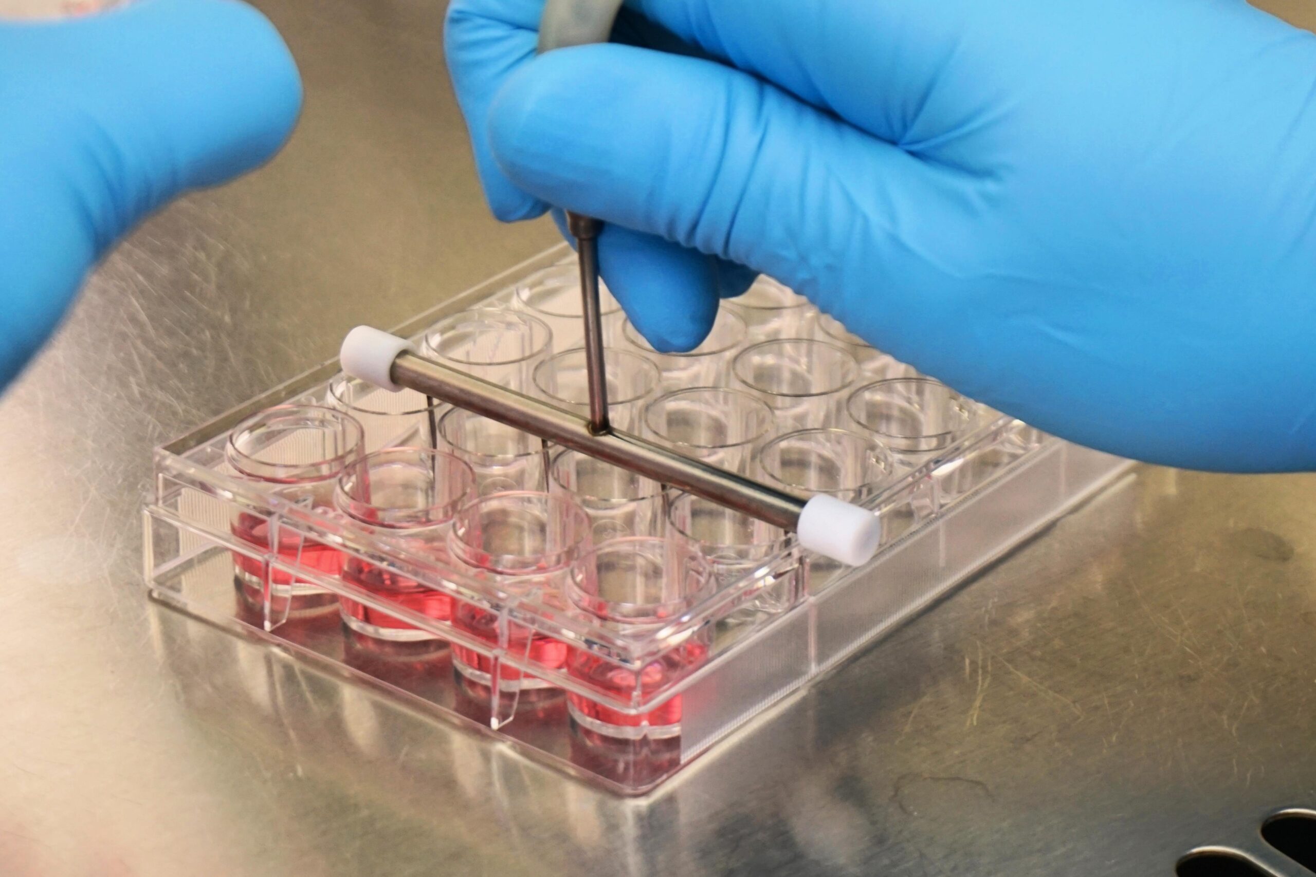 FDA-recommended reference compounds for permeability assays